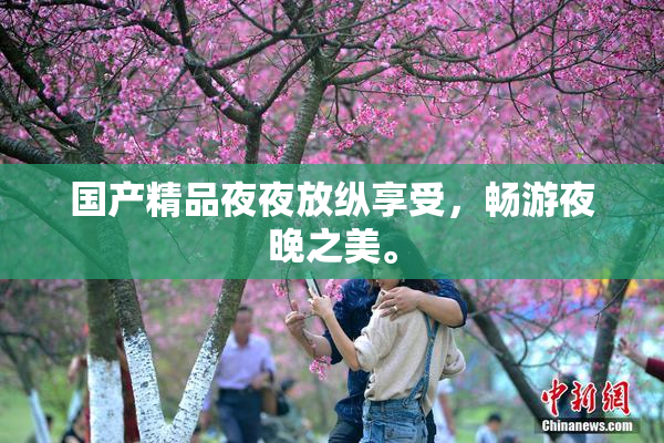 国产精品夜夜放纵享受，畅游夜晚之美。