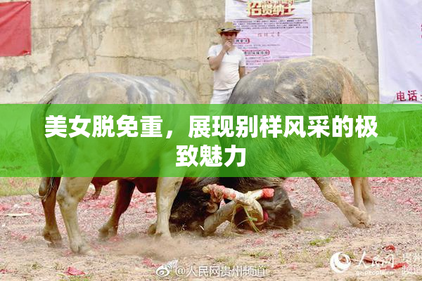 美女脱免重，展现别样风采的极致魅力