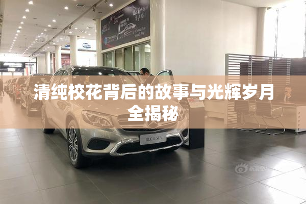 清纯校花背后的故事与光辉岁月全揭秘
