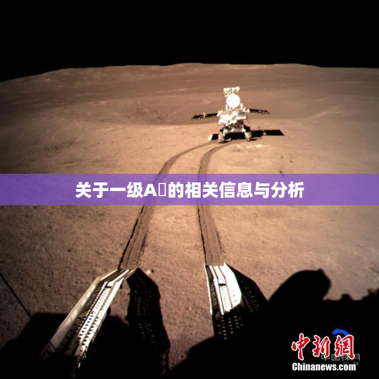 关于一级A婬的相关信息与分析