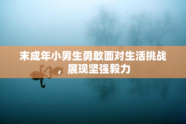末成年小男生勇敢面对生活挑战，展现坚强毅力