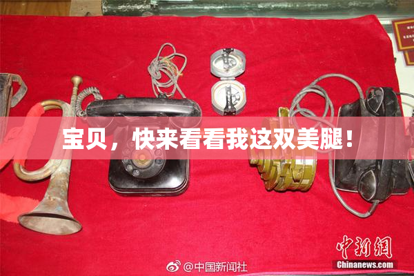宝贝，快来看看我这双美腿！