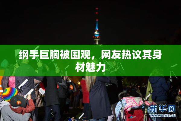 纲手巨胸被围观，网友热议其身材魅力