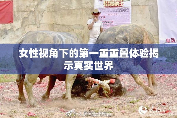 女性视角下的第一重重叠体验揭示真实世界