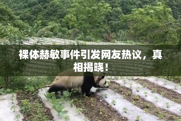 裸体赫敏事件引发网友热议，真相揭晓！