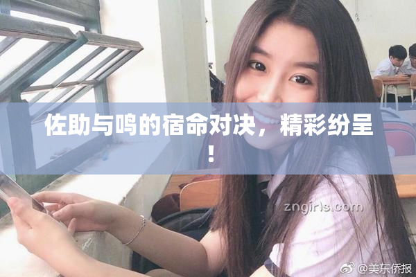 佐助与鸣的宿命对决，精彩纷呈！