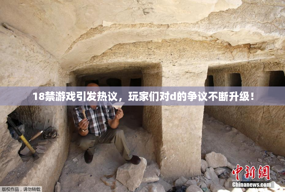 18禁游戏引发热议，玩家们对d的争议不断升级！