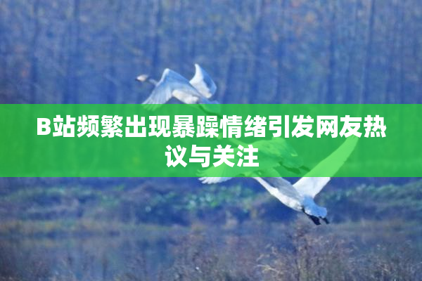 B站频繁出现暴躁情绪引发网友热议与关注