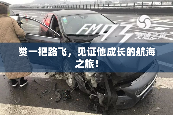 赞一把路飞，见证他成长的航海之旅！