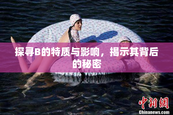 探寻B的特质与影响，揭示其背后的秘密