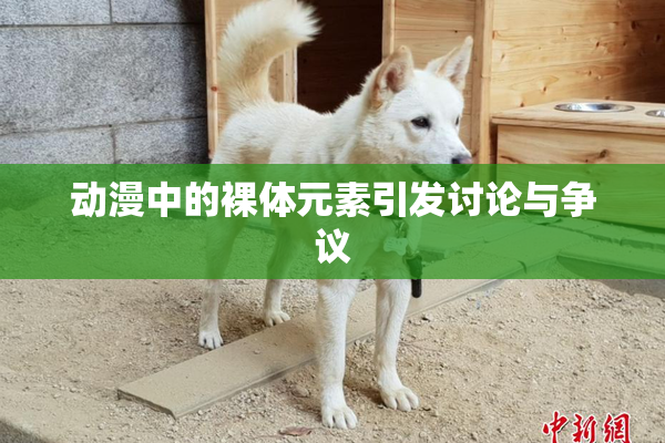动漫中的裸体元素引发讨论与争议