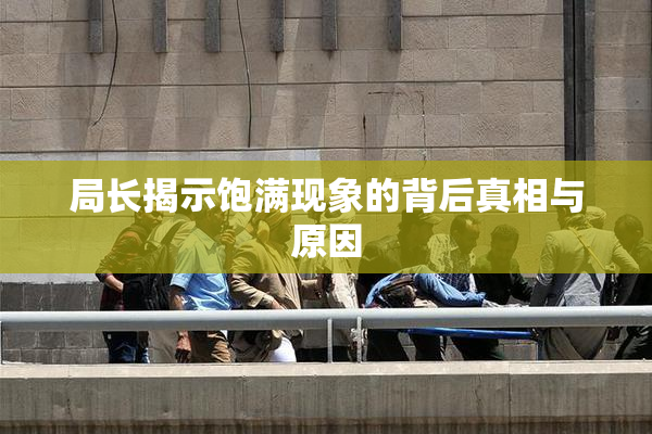 局长揭示饱满现象的背后真相与原因