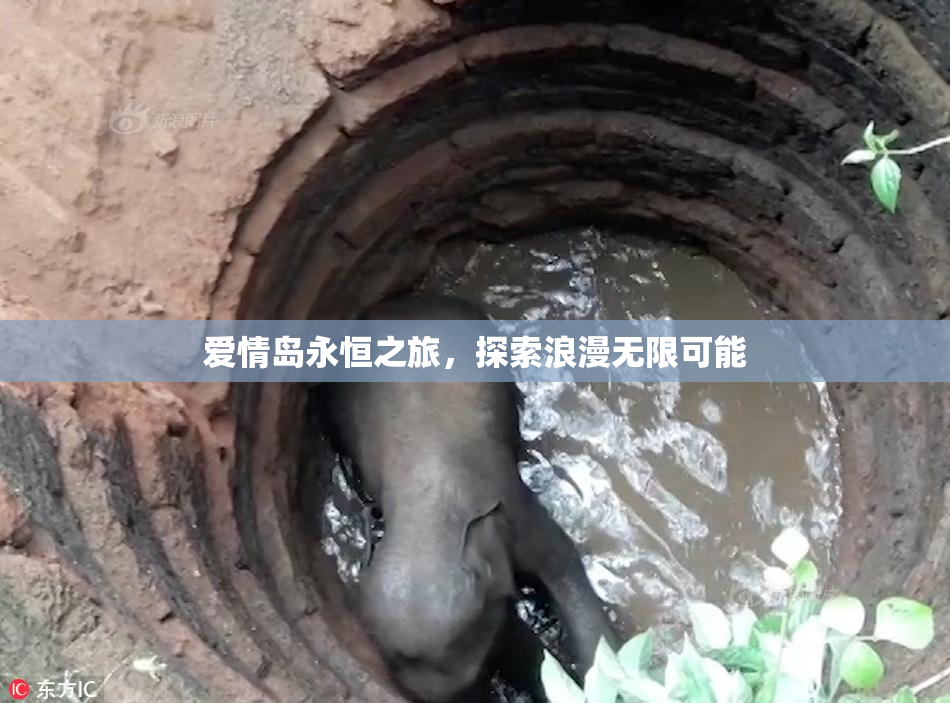 爱情岛永恒之旅，探索浪漫无限可能