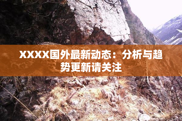 XXXX国外最新动态：分析与趋势更新请关注