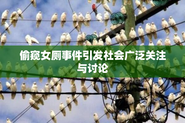 偷窥女厕事件引发社会广泛关注与讨论