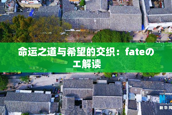 命运之道与希望的交织：fateのエ解读