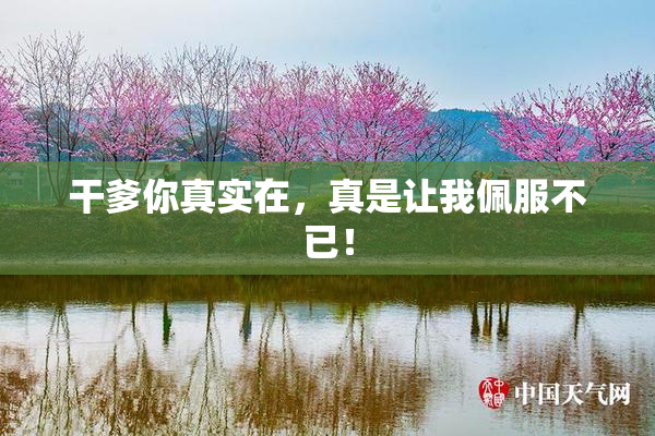 干爹你真实在，真是让我佩服不已！