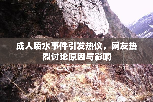 成人喷水事件引发热议，网友热烈讨论原因与影响