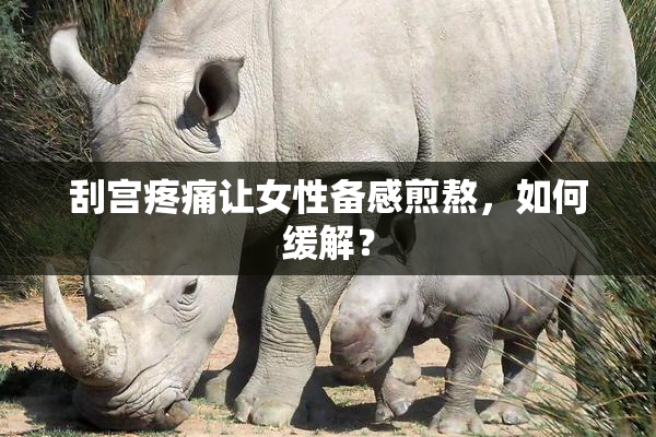 刮宫疼痛让女性备感煎熬，如何缓解？