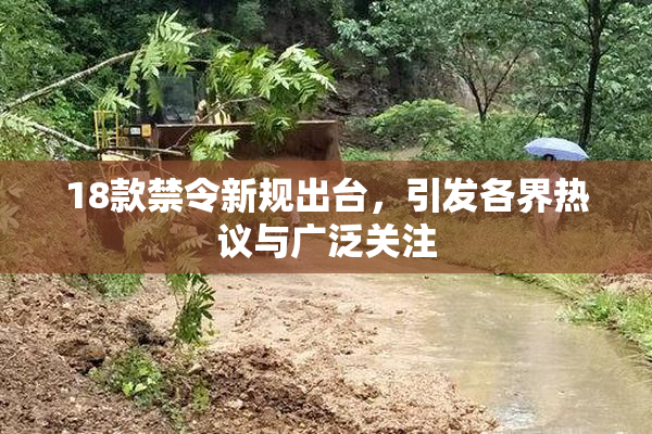 18款禁令新规出台，引发各界热议与广泛关注