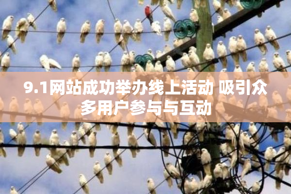 9.1网站成功举办线上活动 吸引众多用户参与与互动