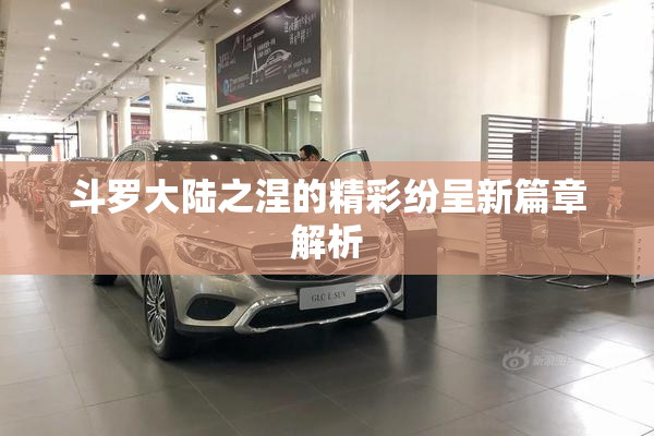 斗罗大陆之涅的精彩纷呈新篇章解析