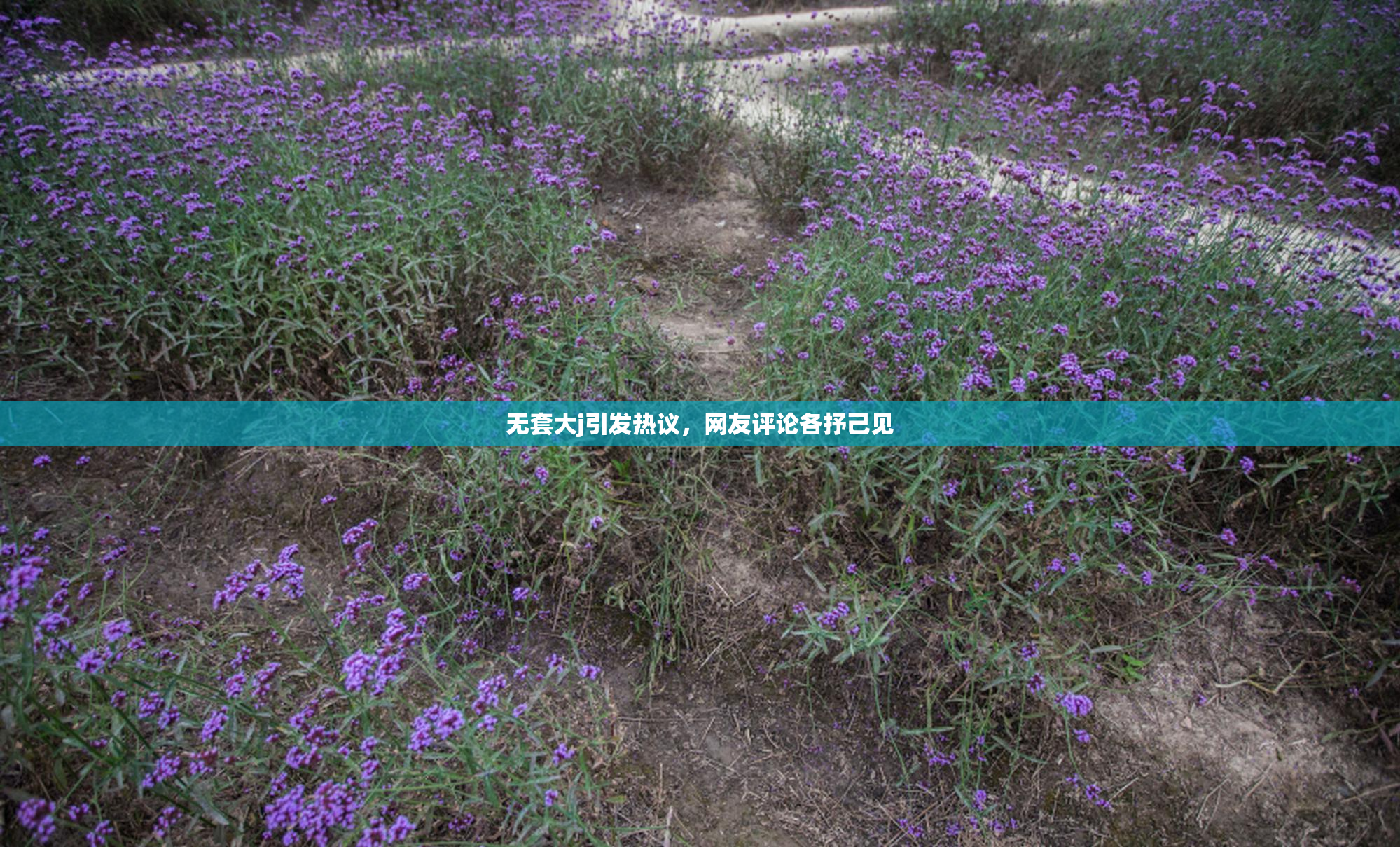 无套大j引发热议，网友评论各抒己见