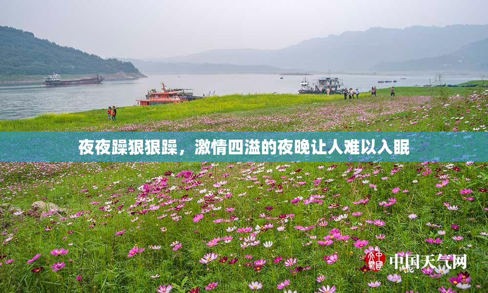 夜夜躁狠狠躁，激情四溢的夜晚让人难以入眠