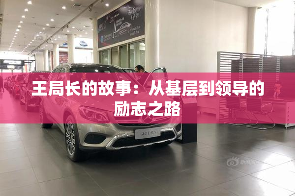 王局长的故事：从基层到领导的励志之路