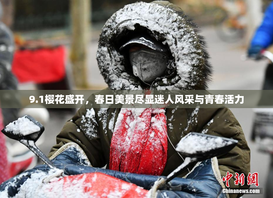 9.1樱花盛开，春日美景尽显迷人风采与青春活力