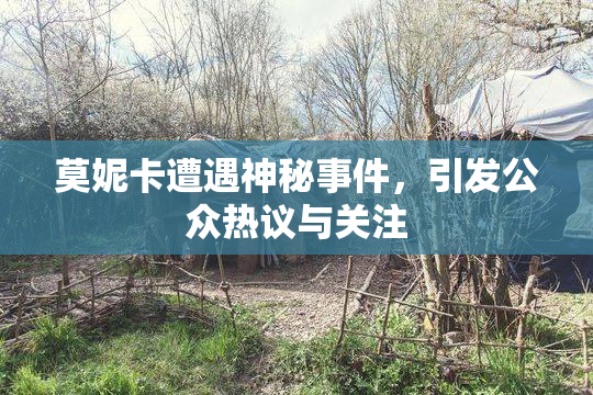 莫妮卡遭遇神秘事件，引发公众热议与关注