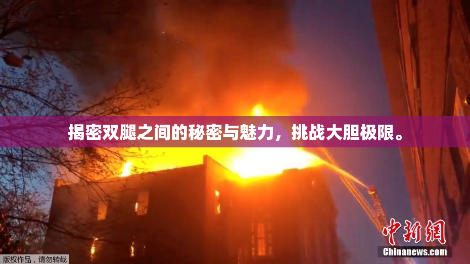 揭密双腿之间的秘密与魅力，挑战大胆极限。