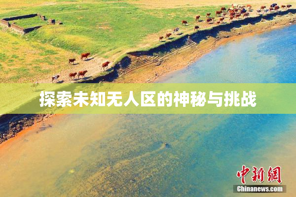 探索未知无人区的神秘与挑战