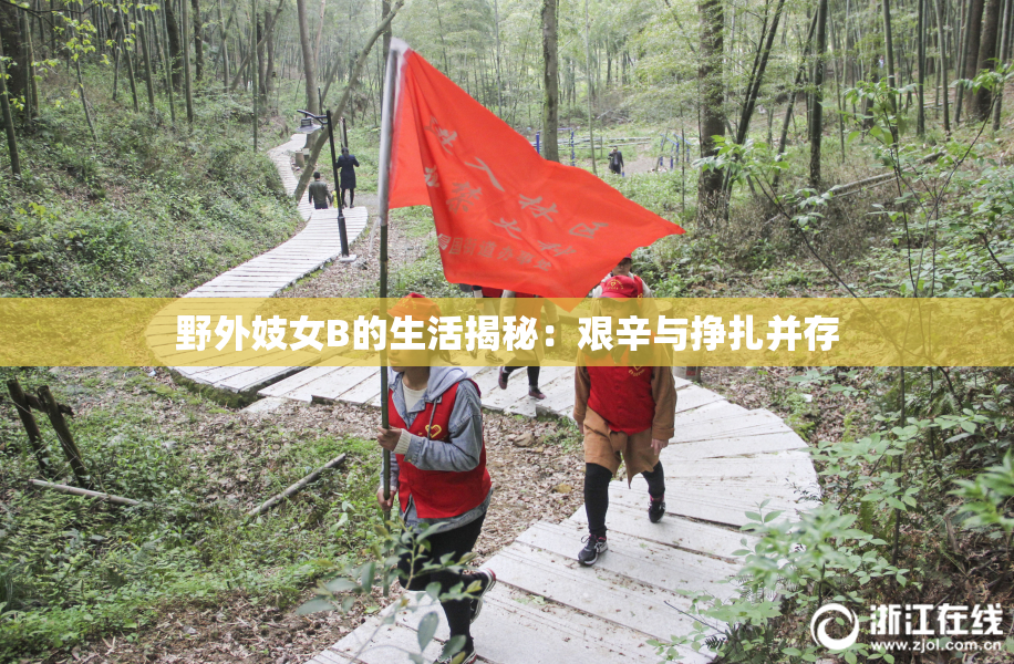 野外妓女B的生活揭秘：艰辛与挣扎并存