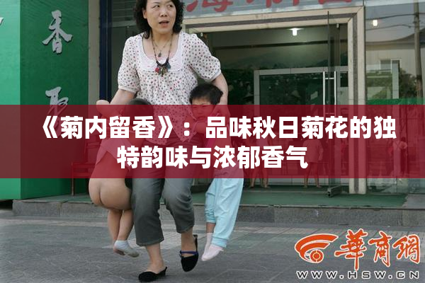 《菊内留香》：品味秋日菊花的独特韵味与浓郁香气
