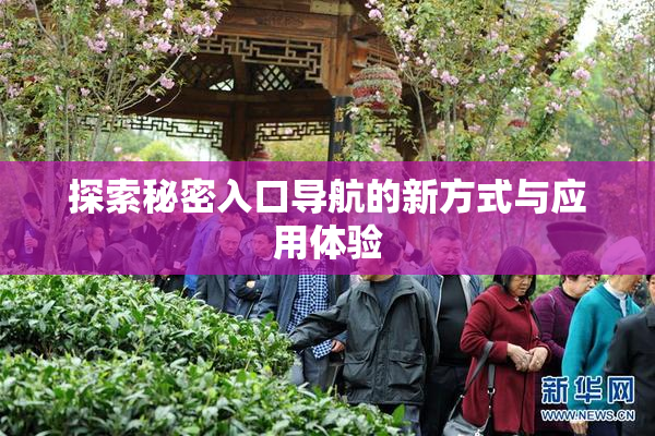探索秘密入口导航的新方式与应用体验
