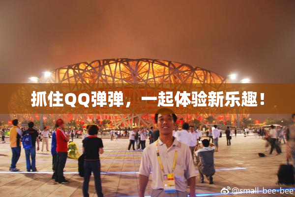 抓住QQ弹弹，一起体验新乐趣！