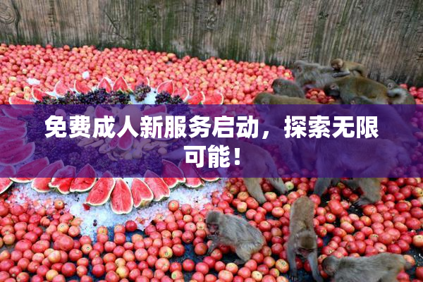 免费成人新服务启动，探索无限可能！