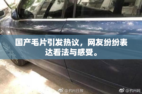 国产毛片引发热议，网友纷纷表达看法与感受。