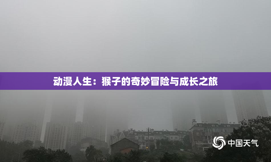 动漫人生：猴子的奇妙冒险与成长之旅