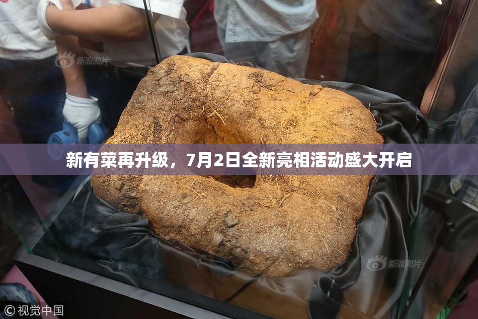 新有菜再升级，7月2日全新亮相活动盛大开启