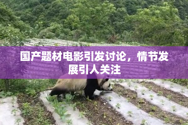 国产题材电影引发讨论，情节发展引人关注