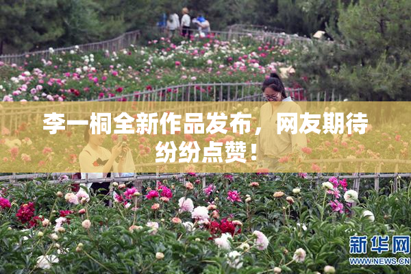 李一桐全新作品发布，网友期待纷纷点赞！