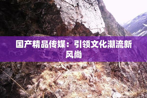 国产精品传媒：引领文化潮流新风尚