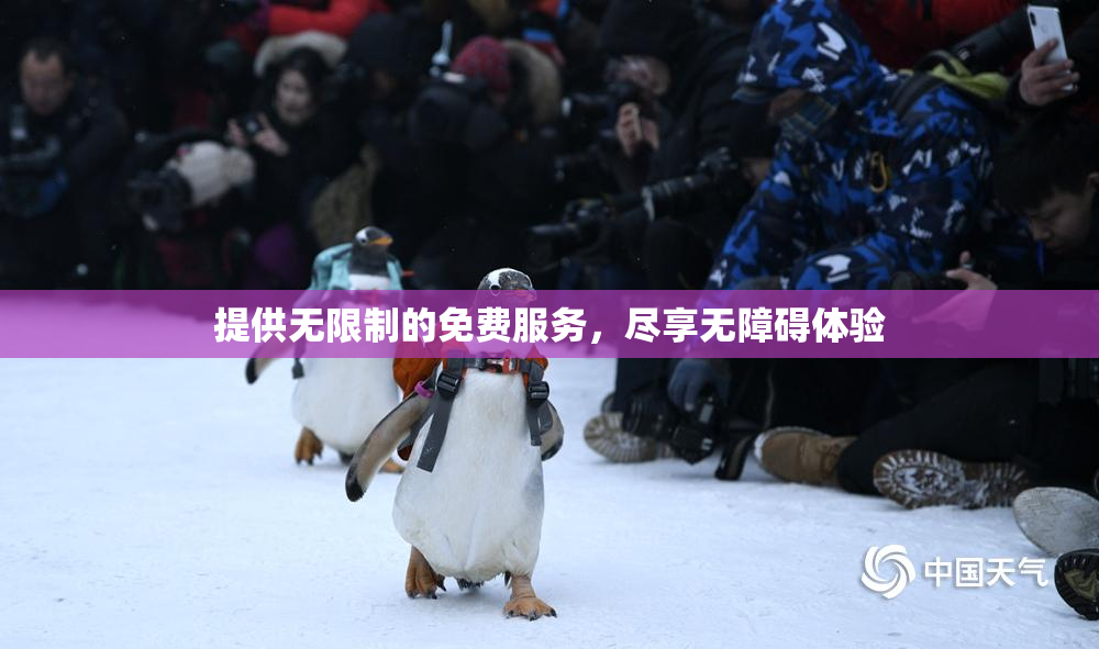 提供无限制的免费服务，尽享无障碍体验