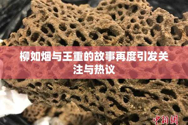 柳如烟与王重的故事再度引发关注与热议