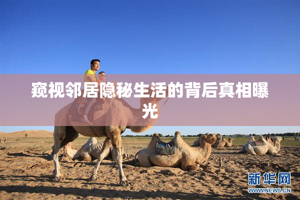 窥视邻居隐秘生活的背后真相曝光