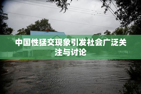 中国性猛交现象引发社会广泛关注与讨论
