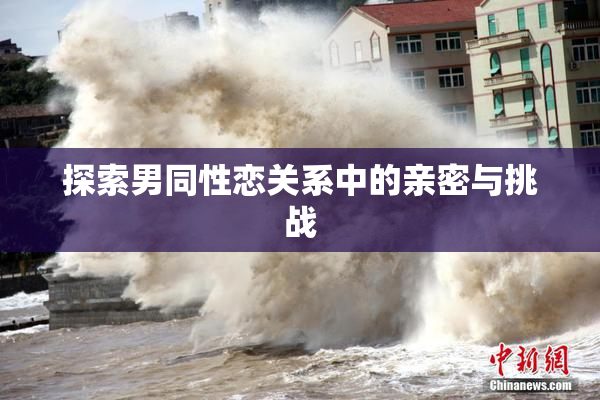 探索男同性恋关系中的亲密与挑战
