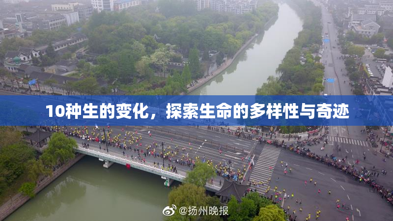 10种生的变化，探索生命的多样性与奇迹
